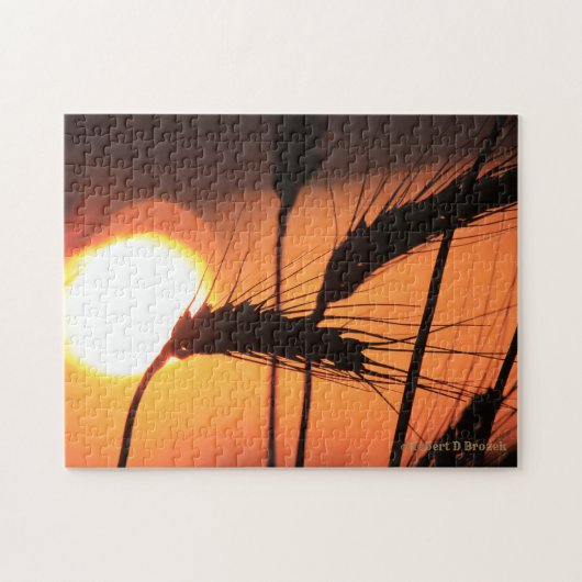 Kansas Blé Sunset PUZZLE (Horizontal)