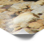 Kansas Box Shell Fotouitbreiding Foto Afdruk (Hoek)