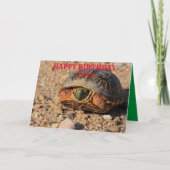 Kansas Box Shell Turtle Carte de voeux Anniversair (Devant)