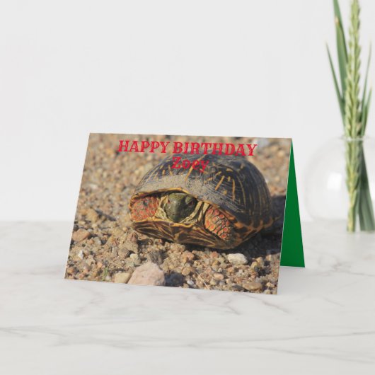 Kansas Box Shell Turtle Carte de voeux Anniversair (Devant)