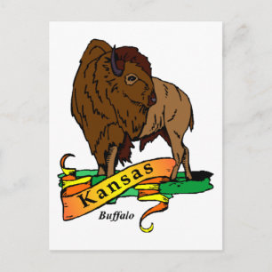 Kansas Buffalo Briefkaart