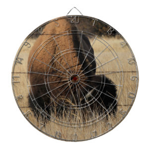 Kansas Buffalo in een Pasture DART BOARD Dartbord