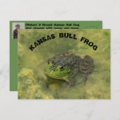 Kansas Bull Frog shot KAART POST (Voorkant / Achterkant)