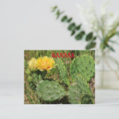 Kansas Cactus blooming Post Kaart (Staand voorkant)