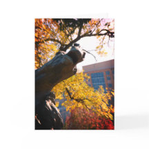 Kansas City Plaza Horse Fountain in het najaar