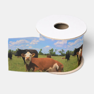 Kansas Country Cow's Ribbon Grosgrain Lint