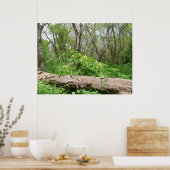 Kansas Countryside Poster (Keuken)