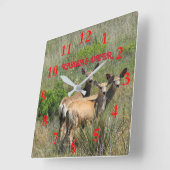 Kansas Deer Square Wall klok (Hoek)