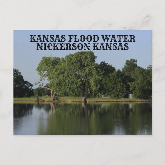 Kansas Flood Water Nickerson Kansas Carte postale (Devant)