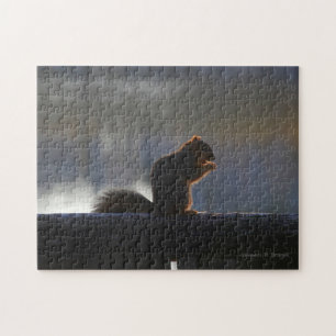 Kansas Fox Tail Squirrel Jigzaadpuzzel Legpuzzel