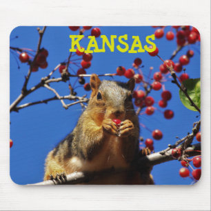 Kansas Fox Tail Squirrel Muismat