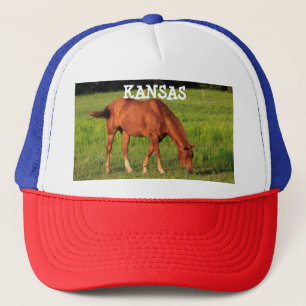 Kansas Horse in een Pet voor paaswagens