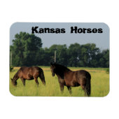 Kansas Horses in een weiland Magneet (Horizontaal)