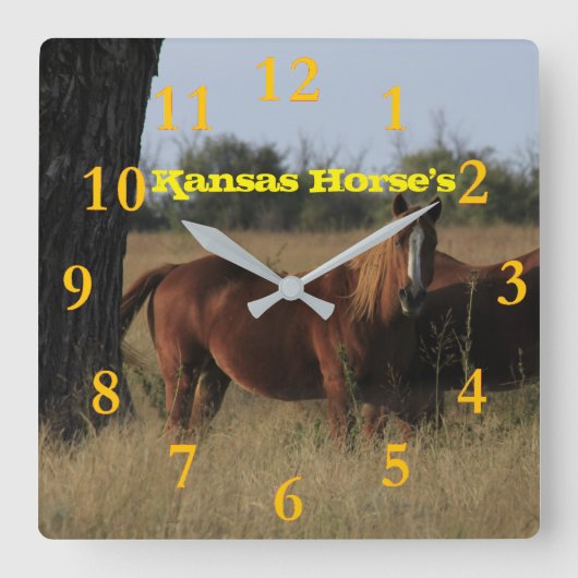 Kansas Horse's Wall Clock Vierkante Klok (Voorkant)