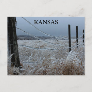 Kansas Ice op een hek Briefkaart