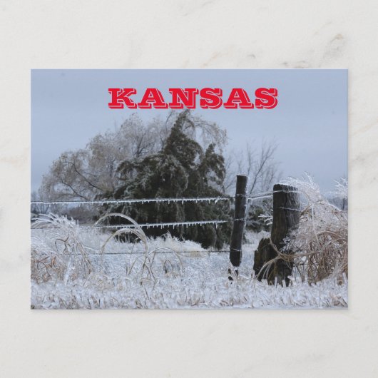 Kansas Icy Fence Post Card Briefkaart (Voorkant)