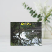 Kansas inondent l'eau dans un pâturage Carte posta (Debout devant)