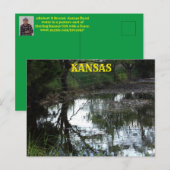 Kansas inondent l'eau dans un pâturage Carte posta (Devant / Derrière)