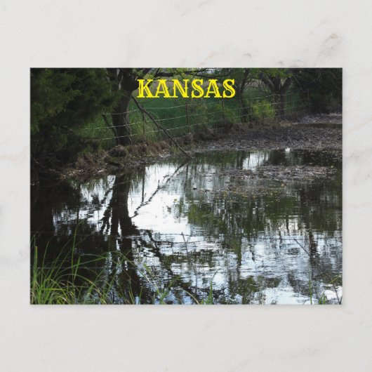 Kansas inondent l'eau dans un pâturage Carte posta (Devant)