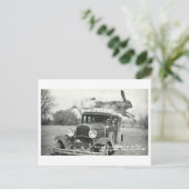  Kansas Jackrabbit Oddity Briefkaart (Staand voorkant)