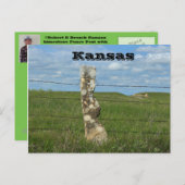 Kansas Limestone Fence Post POST CARD Briefkaart (Voorkant / Achterkant)
