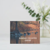 KANSAS PAYS GEESE Carte postale (Debout devant)
