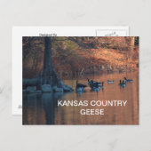 KANSAS PAYS GEESE Carte postale (Devant / Derrière)