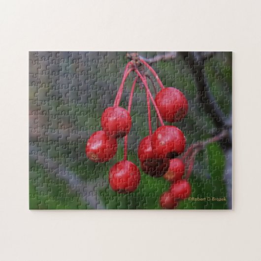 Kansas Red Berries closeup Puzzle (Horizontal)