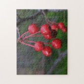 Kansas Red Berries closeup Puzzle (Vertical)