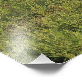 Kansas Red Horse in een Pasture Fotouitbreiding Foto Afdruk (Hoek)