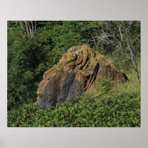 Kansas Red Sand Stone Rock in een weiland Poster