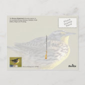 Kansas State Bird - Westerne Meadowlark Briefkaart (Achterkant)