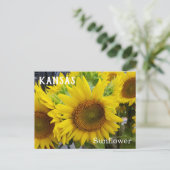 Kansas State Flower Sunflower Briefkaart (Staand voorkant)