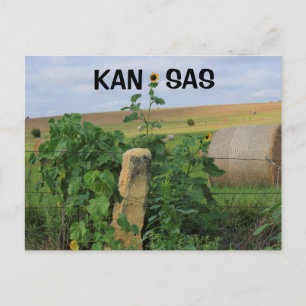 Kansas Stone Post met Sunflower Post Kaart