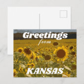 Kansas Sunflower Greetings Briefkaart (Voorkant / Achterkant)