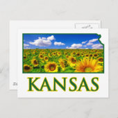 Kansas Sunflower Sky Briefkaart (Voorkant / Achterkant)