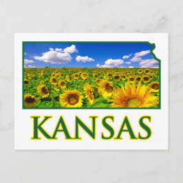 Kansas Sunflower Sky Briefkaart