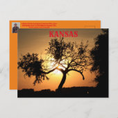 Kansas Sunset met een Kaart van de Boom Post (Voorkant / Achterkant)