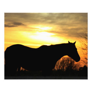 Kansas Sunset silhouette Horse in a Pasture Foto Afdruk
