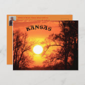 Kansas Sunset with Tree Silhouette Post Kaart (Voorkant / Achterkant)