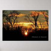Kansas Sunset with Tree Silhouette, Poster van wol (Voorkant)