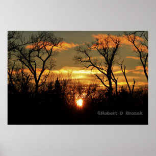 Kansas Sunset with Tree Silhouette, Poster van wol