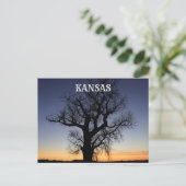 Kansas Tree Silhouette Briefkaart (Staand voorkant)