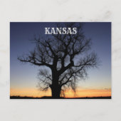 Kansas Tree Silhouette Briefkaart (Voorkant)