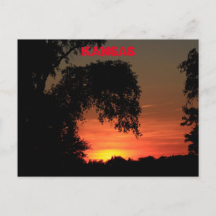 Kansas Tree Silhouette Sunset Briefkaart