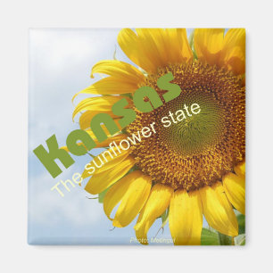 Kansas USA Sunflower State Souvenir Frigo Magnet