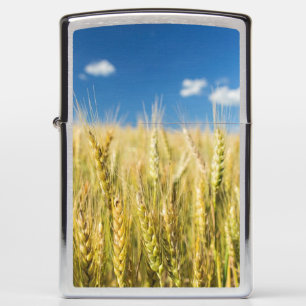 Kansas Wheat