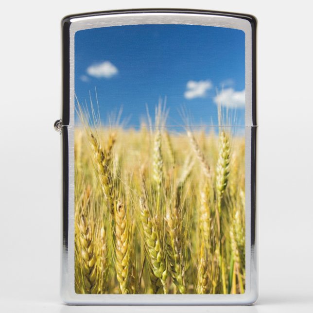 Kansas Wheat (Voorkant)
