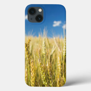 Kansas Wheat iPhone 13 Hoesje