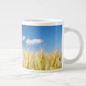 Kansas Wheat Extra Grote Beker (Rechts)